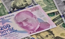 ABD'li dev bankadan dolar/TL tahmini