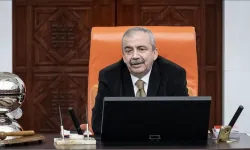 DEM Parti Milletvekili Sırrı Süreyya Önder hayatını kaybetti