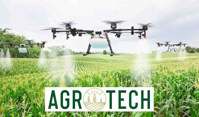 Agrotech (AGROT) hissesi üç ayda yüzde 15 değer kaybetti
