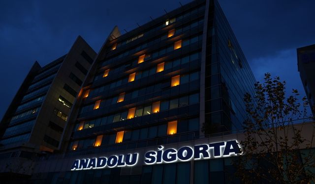 Anadolu Sigorta'ya siber saldırı