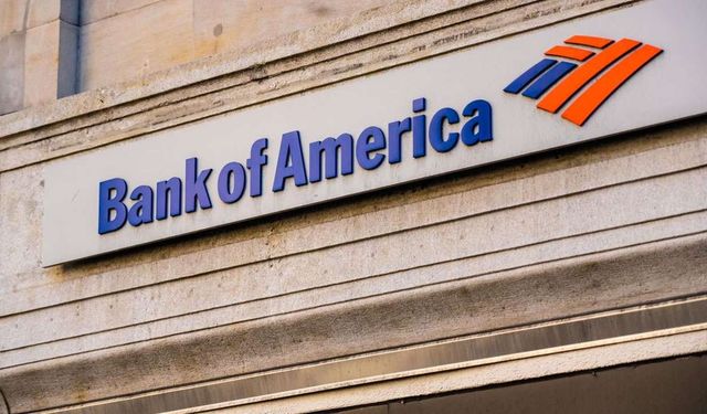 BofA verileri: Hisse senetlerinde rekor artış