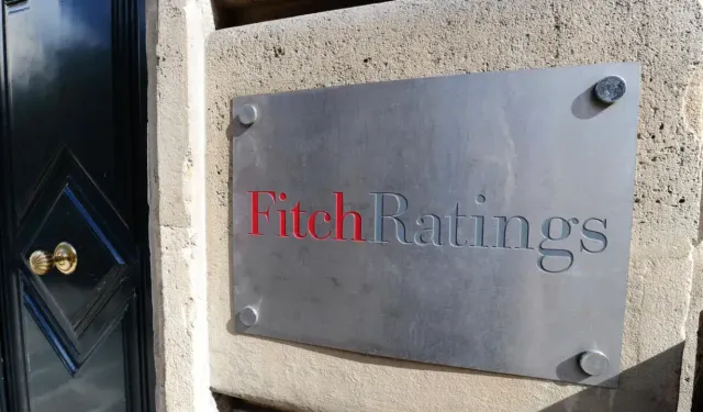 Fitch Ratings, Vestel Elektronik'in kredi notunu düşürdü