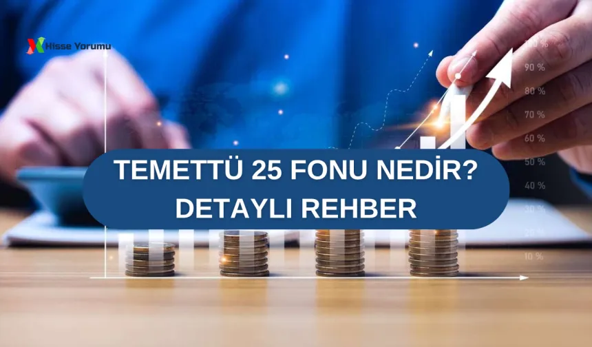 Temettü 25 Fonu nedir, hangi hisseler var ve nasıl alınır?