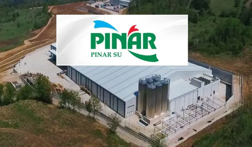 Pınar Su hisseleri neden yükseliyor?