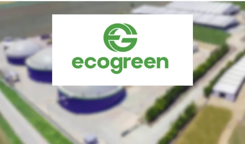Ecogreen Enerji Holding (ECOGR) halka arz bilgileri