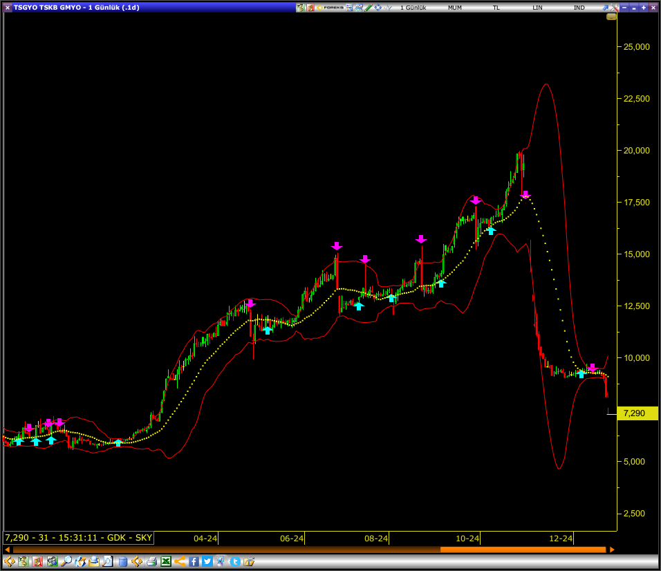 Tsgyo Tskb Gmyo 1 Gunluk (.1D) 20241224 153117