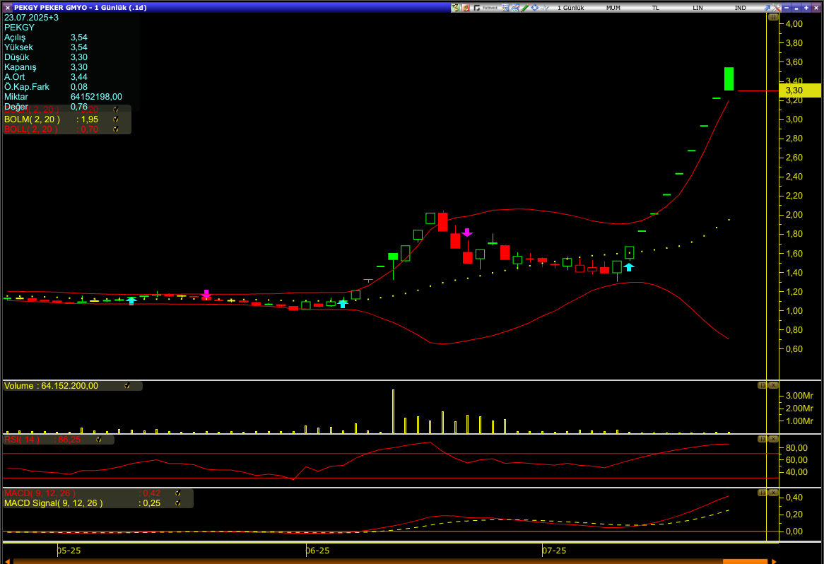 Peker GYO (PEKGY) hisse grafik