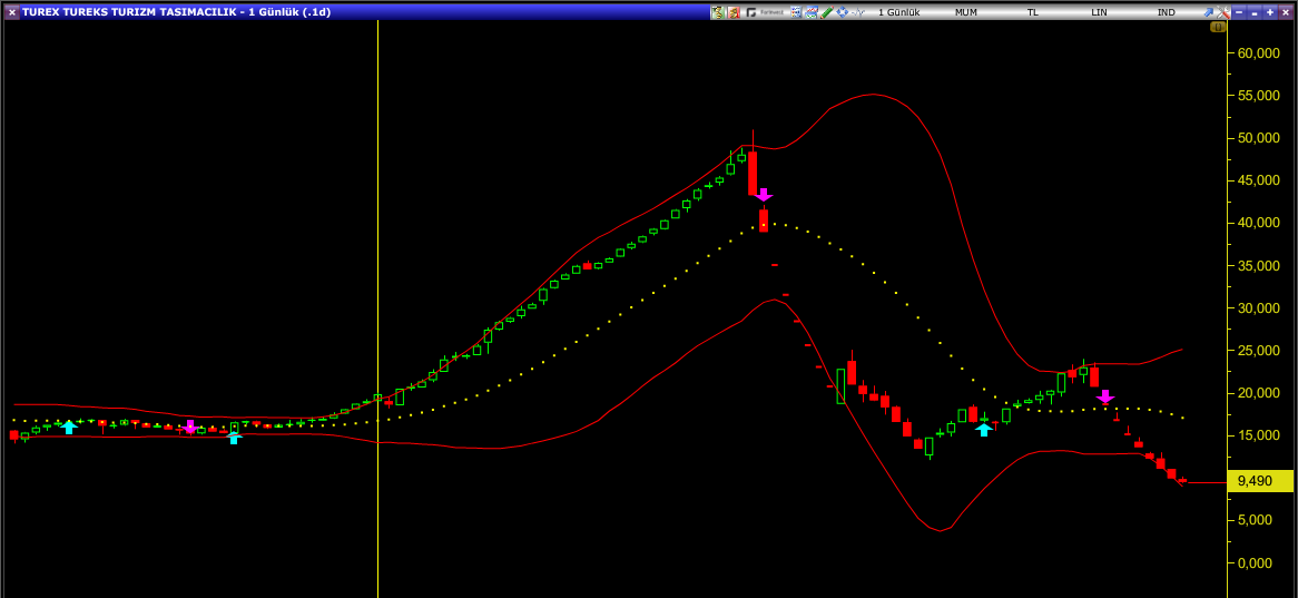 TUREX hisse grafik
